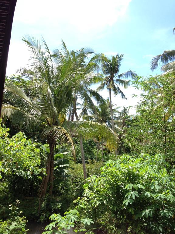 Cebluk Sari Apartment Ubud Exterior foto